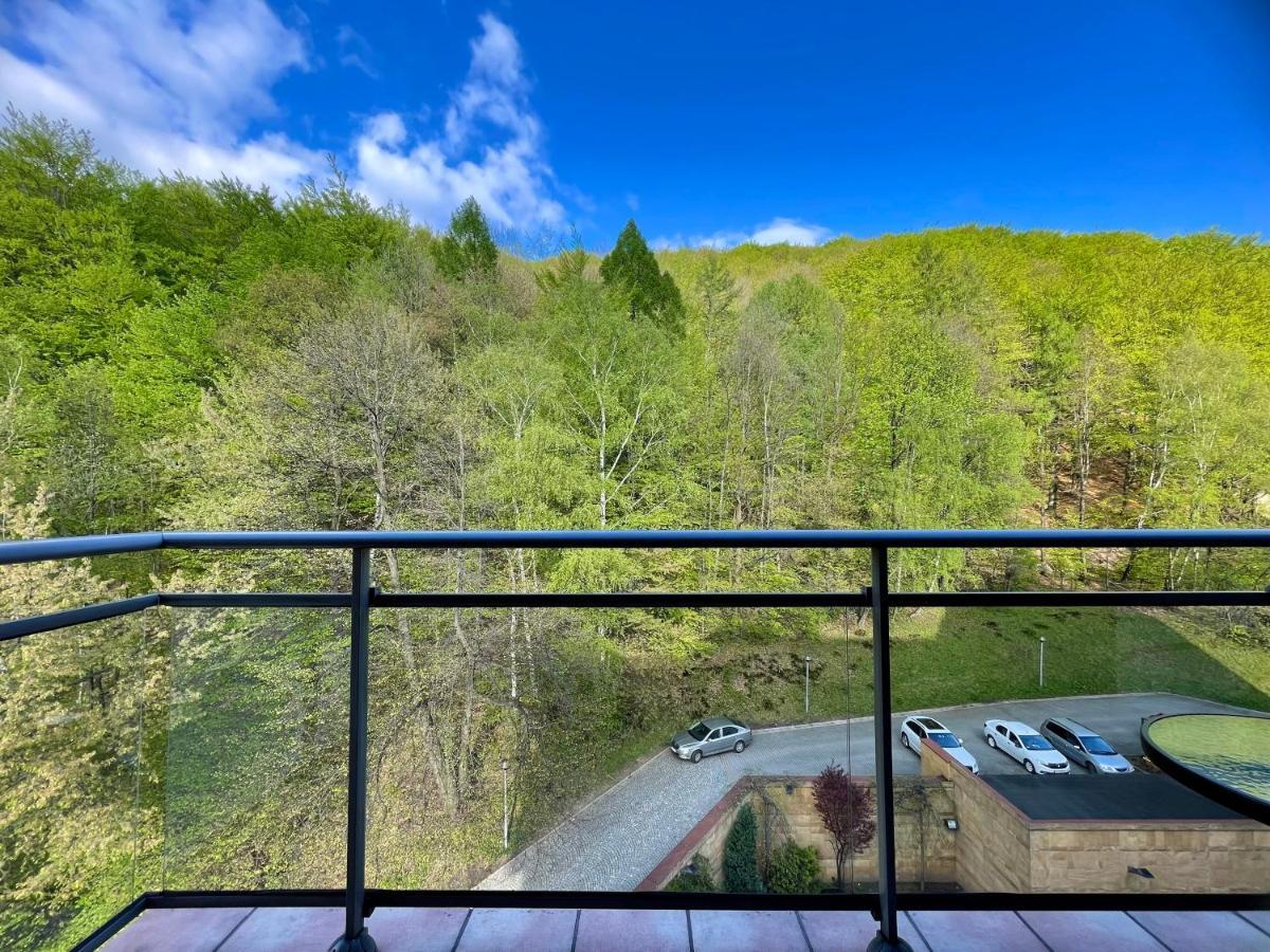 Hotel Belweder Ustroń Εξωτερικό φωτογραφία View of the mountain from the hotel